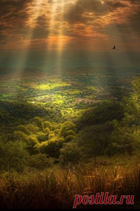 optically-aroused:
“ jose arley agudelo
”