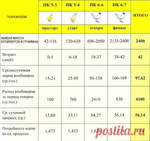 Кормление бройлеров в домашних условиях: таблица, рецепты