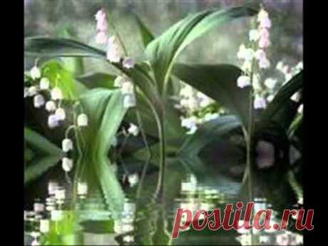 Srdečné blahoželanie.wmv