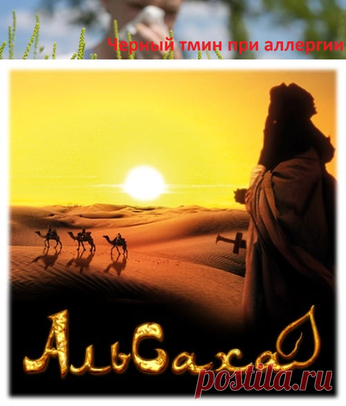 Черный тмин в виде масла или семян применяют в очень большом списке случаев, в том числе и для борьбы с аллергиями. Так как же использовать семена черного тмина и масло калинджи для максимальной эффективности и достижения правильного результата. Узнайте больше про Черный ТМИН и лечение АЛЛЕРГИИ,  про масло темного тмина для борьбы с АЛЛЕРГИЕЙ по ссылке в блоге интернет-магазина Аль-Саха в Украине https://alsaha.com.ua/rub/blog/