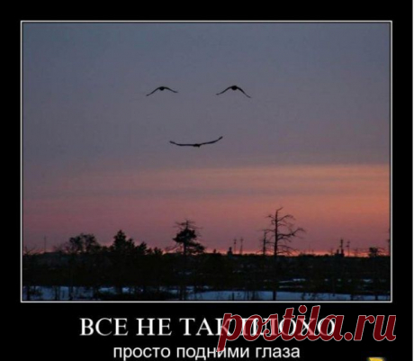 Осмелься мечтать о том, что ты представляешь собой нечто большее, чем сумма твоих нынешних обстоятельств. Ожидай самого лучшего.
