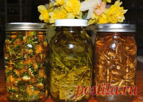 Самое мощное масло - быстро устранит боли в суставах, шее, артрит, подагру, кисты в груди, головные боли и не только!