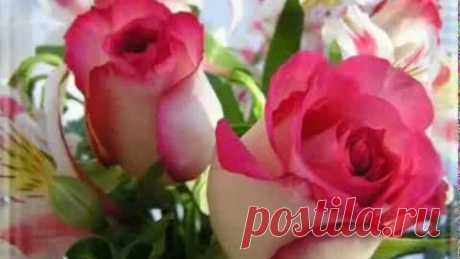 нежная песня поздравления с днем рождения и много роз!!