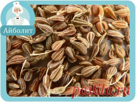 Мой Мир@Mail.Ru