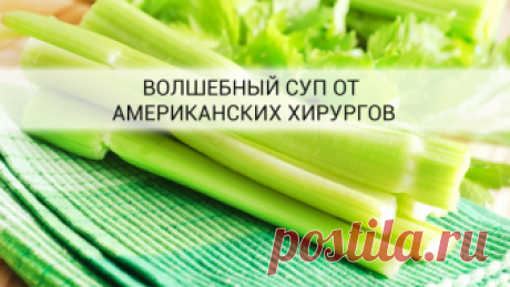 Суп из сельдерея для похудения. Рецепт от хирургов С этим диетическим супом, вы быстро похудеете на 5 кг!