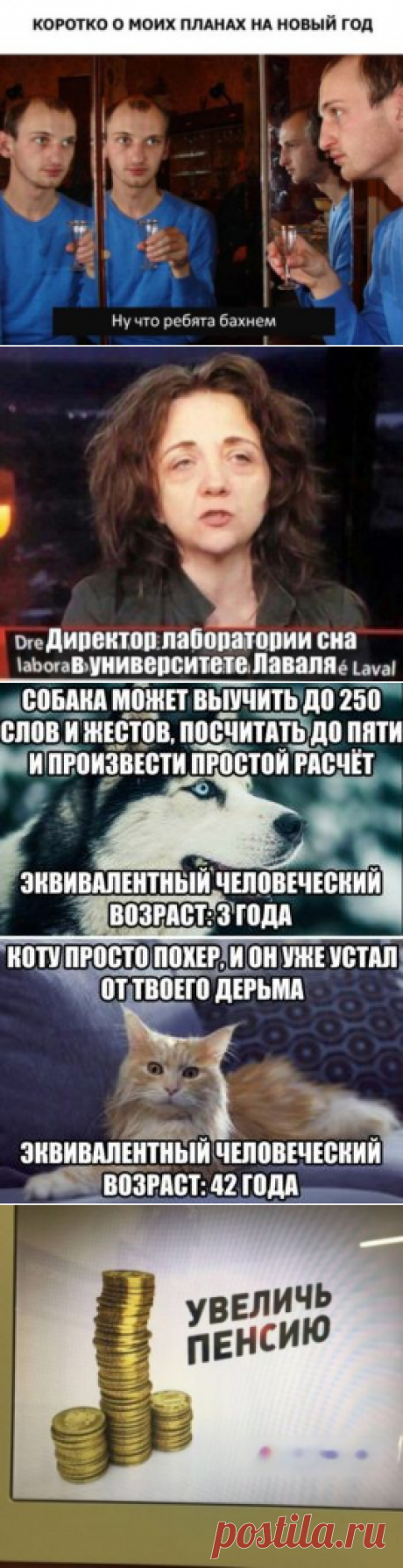 Новые фото-приколы под 2017 год