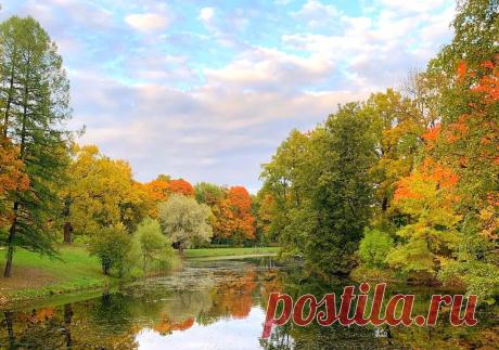 Теперь я выжимаю в 3 раза больше сока из лимона за 1 раз. Тёща показала 4 крутых лайфхака с лимоном
Цитрусовые в осенне-зимний период обязательно должны быть каждый день в рационе человека. Лимоны нужно держать в каждом доме, чтобы не болеть и решать ряд бытовых проблем. Здравствуйте друзья! Осень — прекрасная пора. Она привлекает своей красотой, разноцветностью красок в природе, радует редкими...
Читай дальше на сайте. Жми подробнее ➡