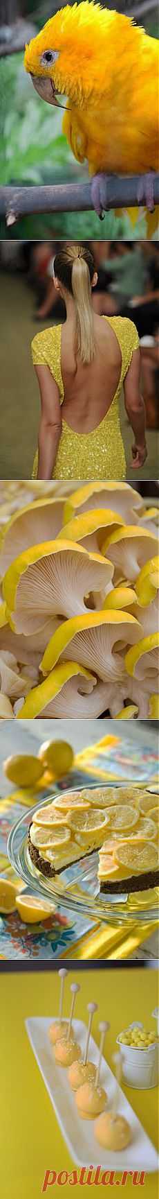 ~YELLOW~ в Pinterest | Пинов: 599