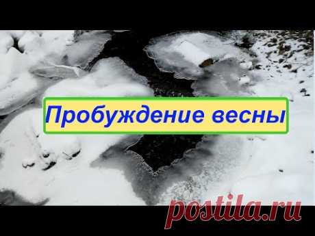 Пробуждение весны
Музыка из библиотеки на Ютубе! Flowers_In_The_Rain