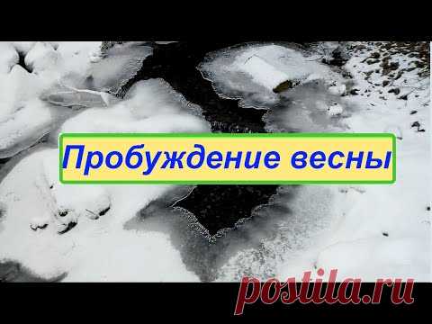 Пробуждение весны
Музыка из библиотеки на Ютубе! Flowers_In_The_Rain
