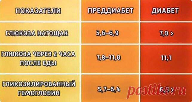 5 симптомов, которые нельзя пропустить, чтобы избежать преддиабета | ЗОЖ и Галка | Яндекс Дзен