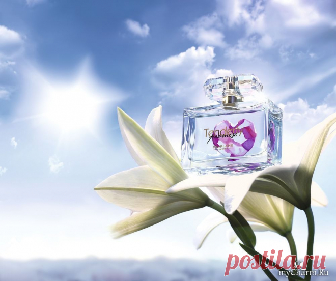 Подари ребенку свою любовь с новым ароматом TENDERLY PROMISE от Орифлэйм: Группа Новости красоты