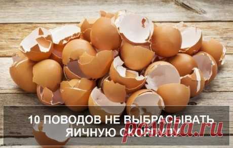 Внимание! 10 ПОВОДОВ НЕ ВЫБРАСЫВАТЬ ЯИЧНУЮ СКОРЛУПУ
