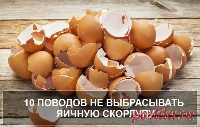 Внимание! 10 ПОВОДОВ НЕ ВЫБРАСЫВАТЬ ЯИЧНУЮ СКОРЛУПУ