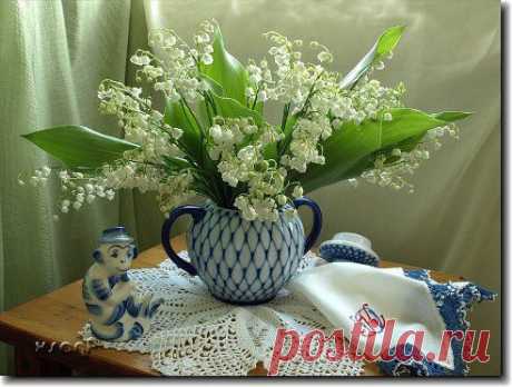 Одноклассники