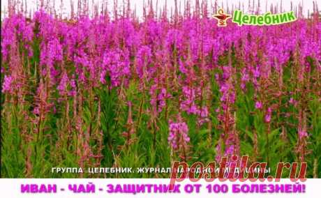 Одноклассники