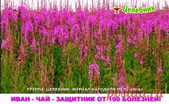 Одноклассники