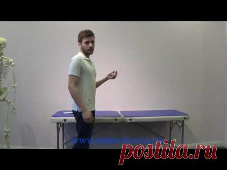 Метавитоника: С чего начинать осмотр - 1. Анамнез