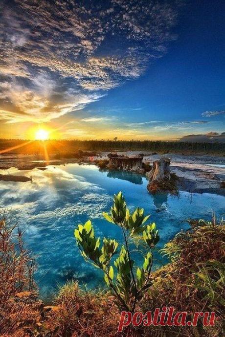 ♥ ЖИВОТНЫЕ ♥ ПРИРОДА ♥