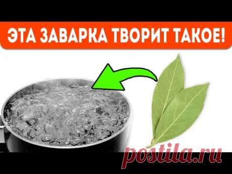 Я просто заварила лавр и спаслась от...