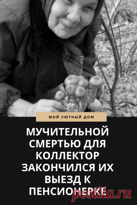 История о пенсионерке в которой коллекторы хотели выбить деньги