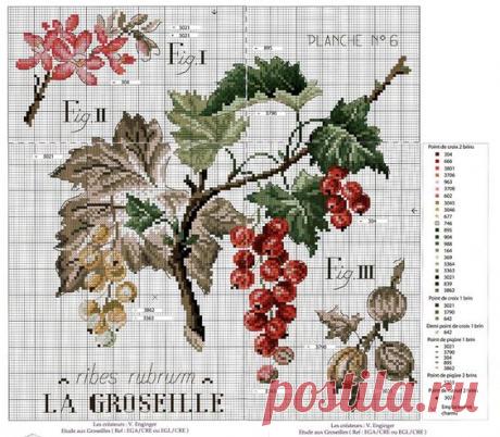 Вышивка фрукты подборка схем. Подборка схем для вышивки ягод |