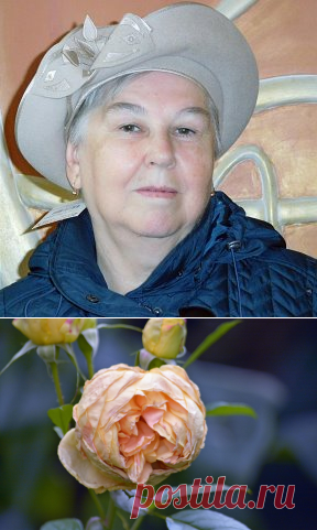 (48) Одноклассники