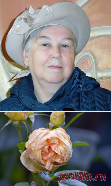 (48) Одноклассники