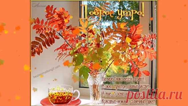 ДОБРОЕ-ДОБРОЕ УТРО!