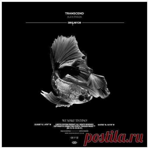 Alex Preda, Alex Preda feat. Jessica Zese - Transcend [Sequence Music]