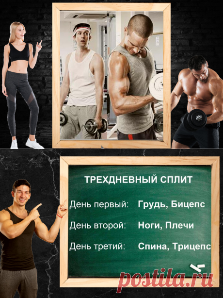 Рассказываю, почему тренировочные программы профессионалов не работают на любителях