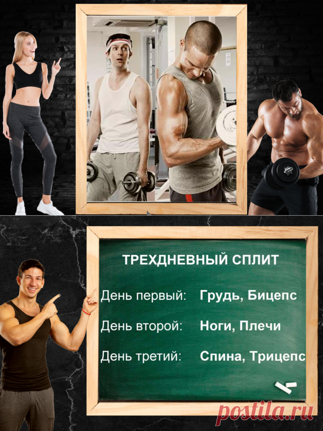 Рассказываю, почему тренировочные программы профессионалов не работают на любителях