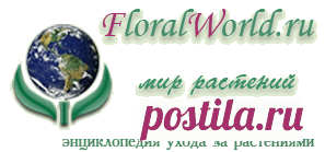 Вредители и болезни растений на FloralWorld.ru