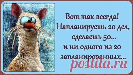 Муж разгадывает кроссворд. Спрашивает жену: — Дорогая! Как называется птица из 9 букв... 
Лучше быть в шоке от услышанного, чем в ужасе от происходящего.

Группа альпинистов после трудного перехода остановилась на ночь на плато. Разбили палатки, легли спать. Вдруг среди ночи один во сне к…