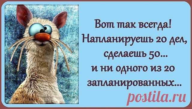 Муж разгадывает кроссворд. Спрашивает жену: — Дорогая! Как называется птица из 9 букв... 
Лучше быть в шоке от услышанного, чем в ужасе от происходящего.

Группа альпинистов после трудного перехода остановилась на ночь на плато. Разбили палатки, легли спать. Вдруг среди ночи один во сне к…