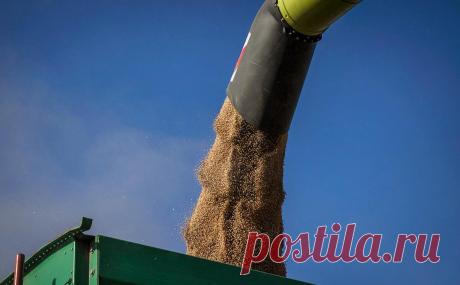 RMF узнал о готовности ЕС к санкциям против Польши из-за зерна с Украины. Большинство стран ЕС выступают против продления запрета на поставки украинского зерна после 15 сентября. Если Польша не откроет свою границу для сельхозпродукции с Украины, она может столкнуться с торговыми контрмерами