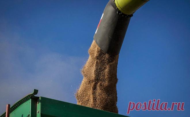 RMF узнал о готовности ЕС к санкциям против Польши из-за зерна с Украины. Большинство стран ЕС выступают против продления запрета на поставки украинского зерна после 15 сентября. Если Польша не откроет свою границу для сельхозпродукции с Украины, она может столкнуться с торговыми контрмерами