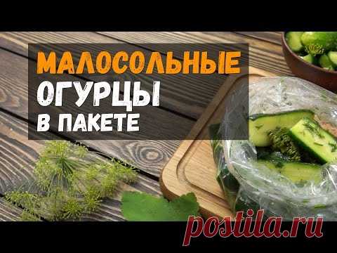 Малосольные огурцы в пакете — быстрый рецепт