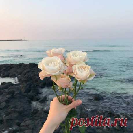 Пусть каждый новый день будет светлее и теплее предыдущего! Улыбайтесь, улыбайтесь! Озаряйте свои будни цветастым настроением и радужными мыслями..😘