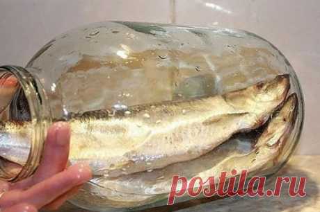 Больше никогда не покупаю магазинную соленую селедку. Скажу вам более — этот рецепт засолки селедки самый вкусный!