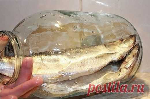 Больше никогда не покупаю магазинную соленую селедку. Скажу вам более — этот рецепт засолки селедки самый вкусный!
