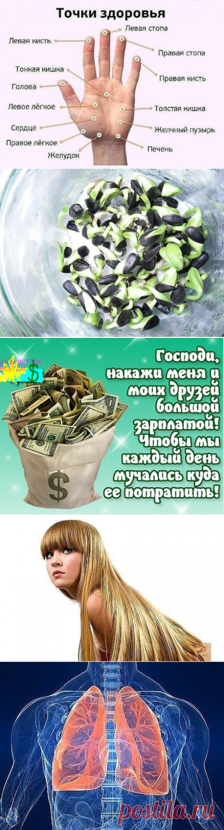 Одноклассники