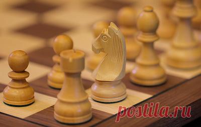 Рязанцев: российская шахматная школа остается одной из ведущих в мире. Ранее женская сборная России выиграла командный чемпионат мира, а Андрей Есипенко пробился на турнир претендентов