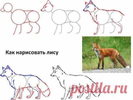 Комментарии к теме
