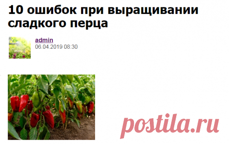 10 ошибок при выращивании сладкого перца - Садоводка