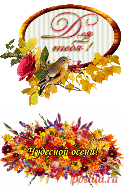 Лучшие сайты с анимированными открытками