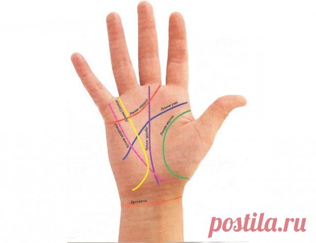 Можно ли изменить линии на руке? / Мистика