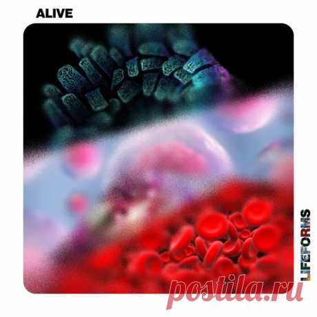 Tim Engelhardt, Solique - Alive free download mp3 music 320kbps