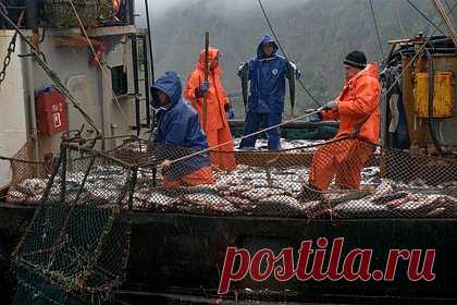 В России рассказали об использовании «Гонца». Спутниковую систему «Гонец» использовали для передачи данных о суточном вылове рыбы. По словам генерального директора спутниковой системы Павла Черенко, предоставляемый «Гонцом» сервис обходится пользователям значительно дешевле, чем аналогичные услуги, оказываемые зарубежными конкурентами.