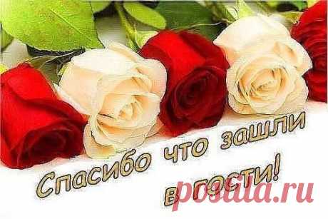 j4u21s3n.jpg (Изображение JPEG, 492 × 328 пикселов)